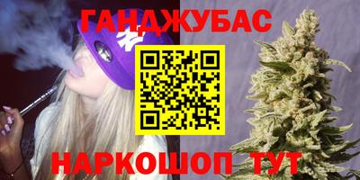 индика Аргун