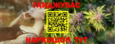 индика Аргун