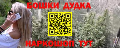 индика Аргун