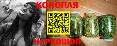 индика Аргун