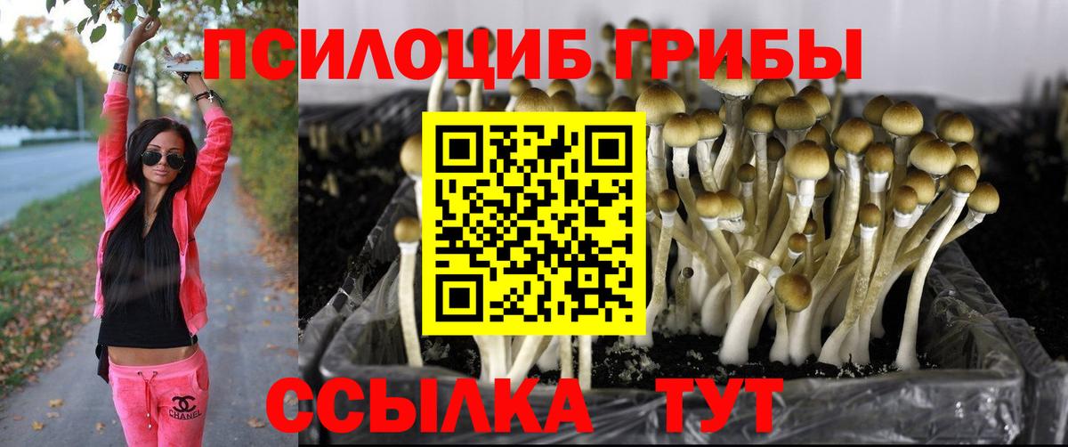 Галлюциногенные грибы Magic Shrooms  Вход с VPN  Верхняя Пышма  Псилоцибиновые грибы мицелий 